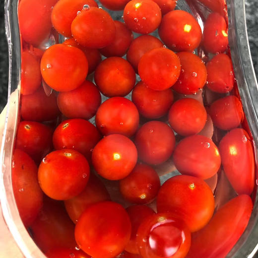 玲珑千禧小番茄，肉厚皮薄，咬一口，清甜的果汁马上喷涌而出。浓郁原始又清爽的番茄滋味爽口又怡人～好吃！停不下来！ 商品图10