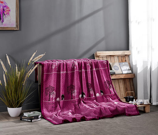 远梦韩风水晶绒盖毯 商品图4