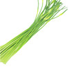新鲜蒜苔【约450g-500g】 商品缩略图2