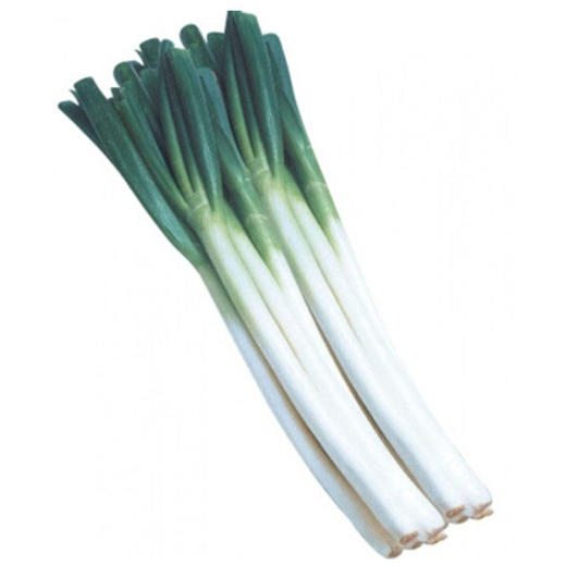 大葱-份【约200g】 商品图1