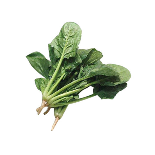 菠菜【把】 商品图1