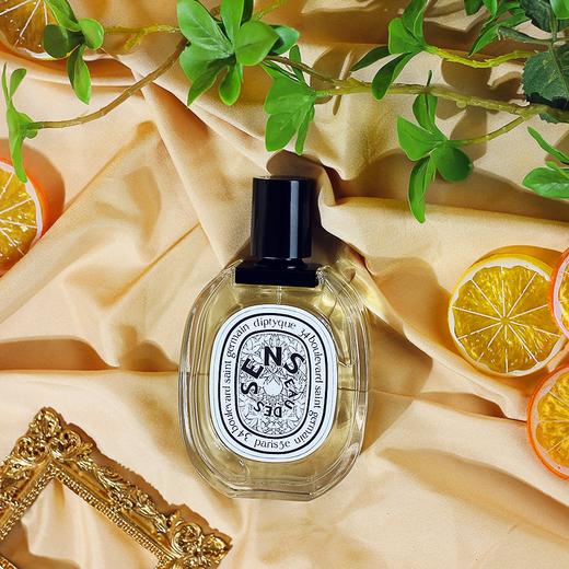 蒂普提克 感官之水 diptyque eau des sens 分装 - 关凡琦香水分装