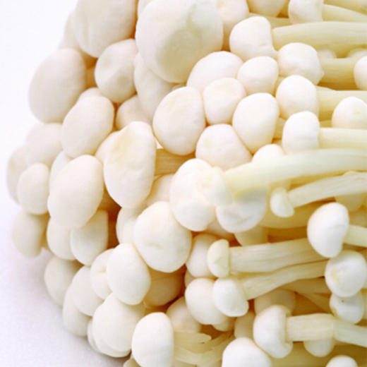 散称金针菇【约450g-500g】 商品图2