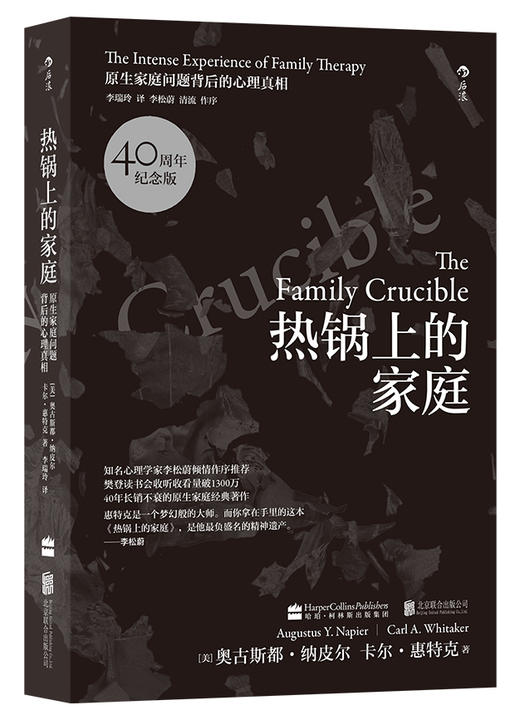 热锅上的家庭 商品图0