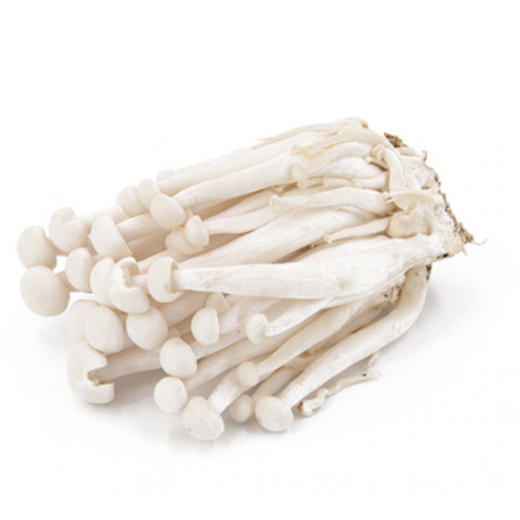 海鲜菇-份【约450g-500g】 商品图0