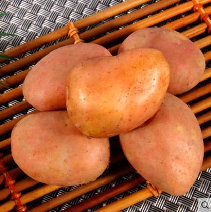 云南红皮小土豆7.5斤~8斤装 商品图2