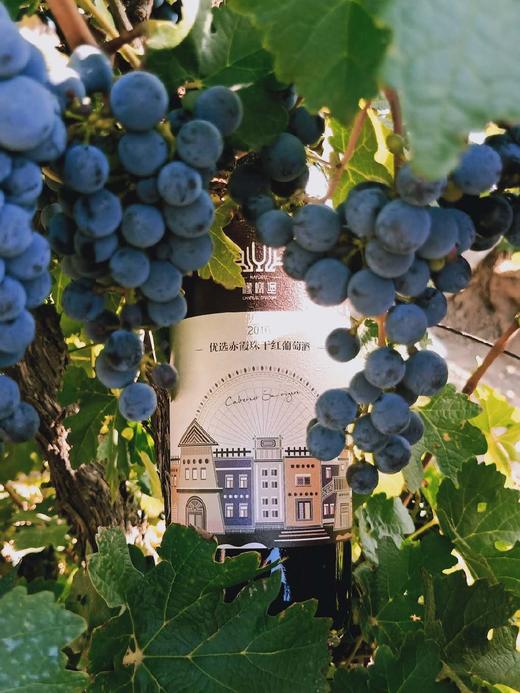 2016年份赤霞珠优选干红 商品图2