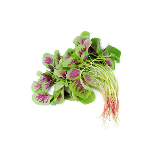 汗菜【约450g-500g】 商品图1