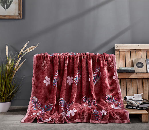 远梦韩风水晶绒盖毯 商品图2