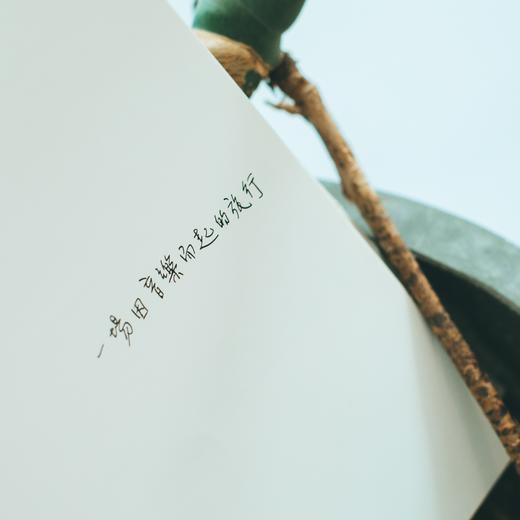 摄影集 | 「想念·亞美尼亞」 阮羲忠 商品图4