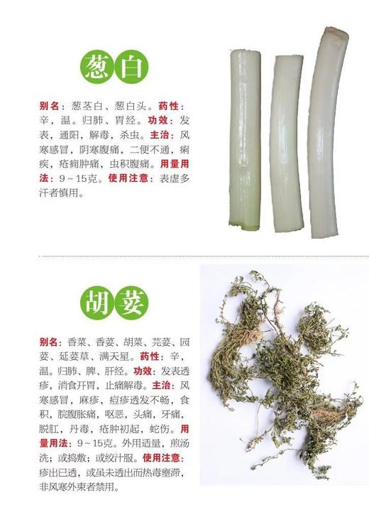 800种中药速查  便携式的本草博物馆 商品图2