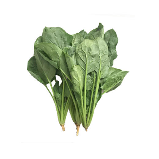 菠菜【把】 商品图2