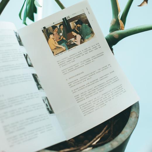 艺术画册 | 何多苓文献集 商品图4