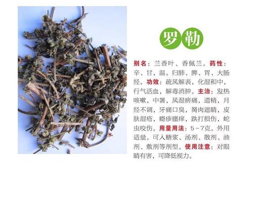 800种中药速查  便携式的本草博物馆 商品图1