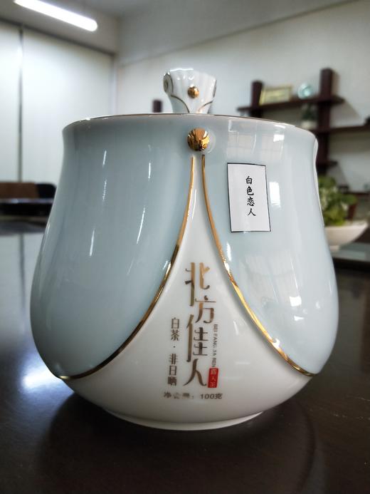【茶馆茶叶】【北方佳人】小众茶第41期丨白色恋人丨  第一次用初恋的原料制白茶 ，口感鲜爽，毫香显著带有特殊的花香 商品图0