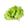 生菜【约450g-500g】 商品缩略图2