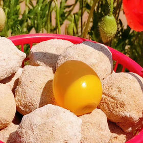 ★农家手工流心皮蛋