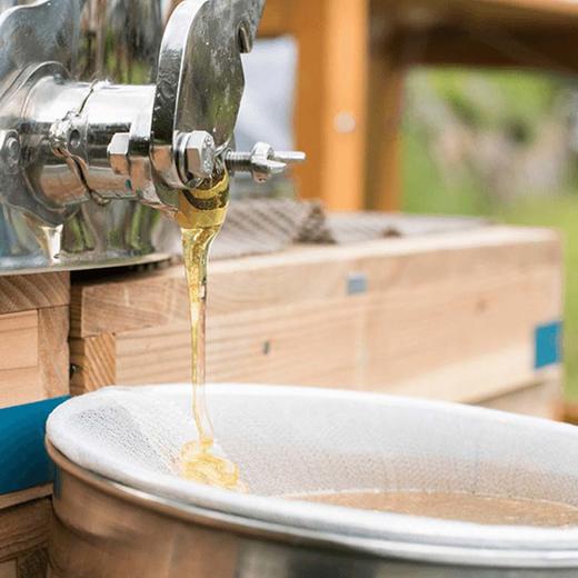 蓝莓蜜500克限时买二送一  商品图8