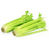 西芹【约750g—800g】 商品缩略图1