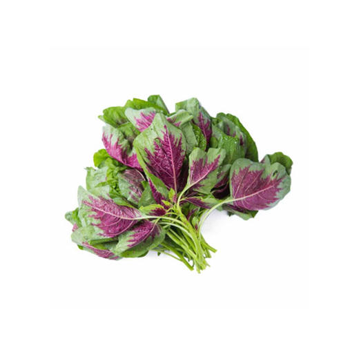 汗菜【约450g-500g】 商品图2