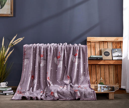 远梦韩风水晶绒盖毯 商品图3