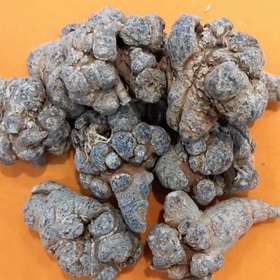 1F北京同仁堂三七