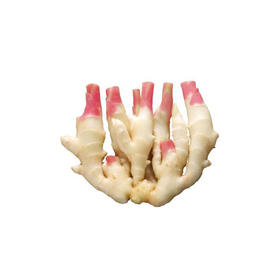 仔姜【约450g-500g】