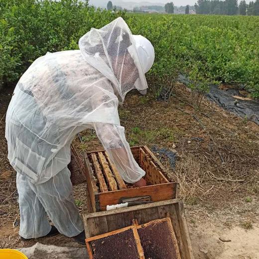 蓝莓蜜500克限时买二送一  商品图4