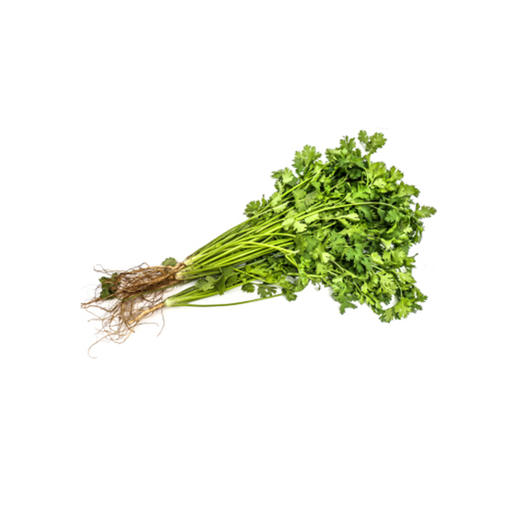 香菜-份【约100g】 商品图1