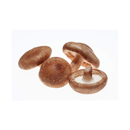 香菇-份【约200g-250g】 商品图0