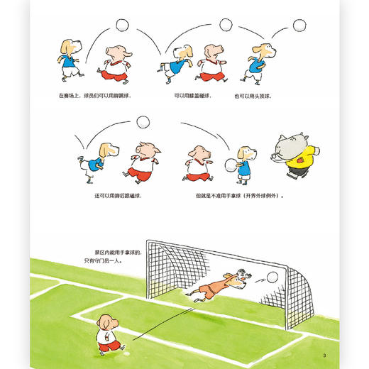 3-6岁+ 运动，真美妙！ 商品图3