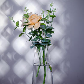 【茶家】【玻璃花器】【6822#】