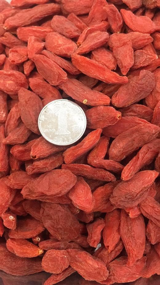 1F北京同仁堂 散枸杞 商品图0