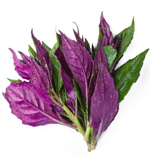 雪见菜【约450g-500g】 商品图0