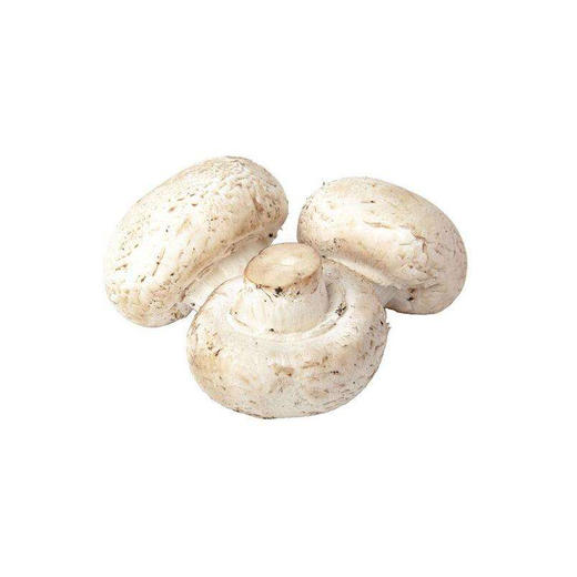 圆蘑菇【约450g-500g】 商品图0
