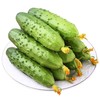 旱黄瓜 商品缩略图0