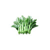 菜心【约500g】 商品缩略图1