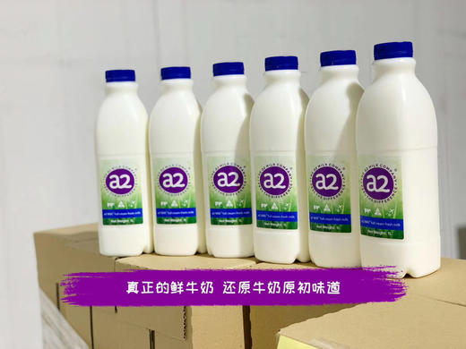 现货~澳洲A2鲜牛奶巴氏杀菌全脂鲜牛奶1L*2瓶~顺丰冷链 商品图1