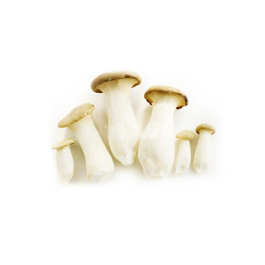 杏鲍菇-份【约240g-290g】 商品图1