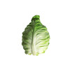 牛心白-个【约1400g-1500g】 商品缩略图2