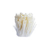 散称金针菇【约450g-500g】 商品缩略图1