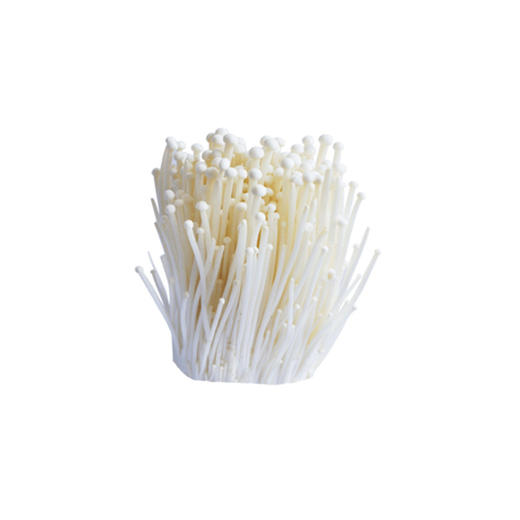 散称金针菇【约450g-500g】 商品图1