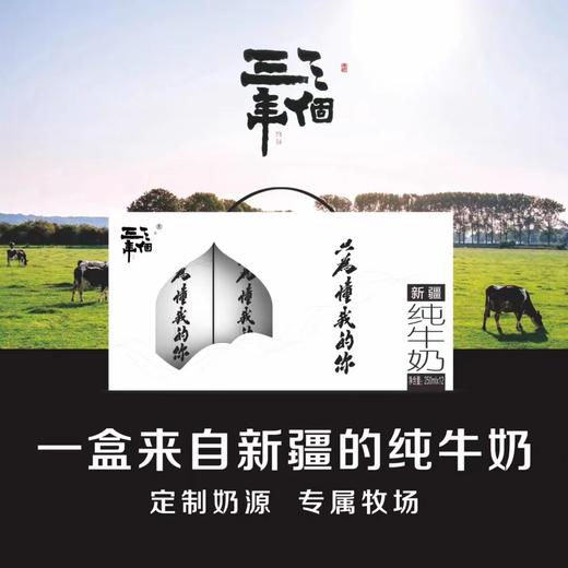 新疆高质尊贵版定制大纯牛奶 三个三年 （12瓶*250ml）大奶两箱 味道更浓郁 商品图2