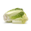 大白菜【约1900g—2000g】 商品缩略图1
