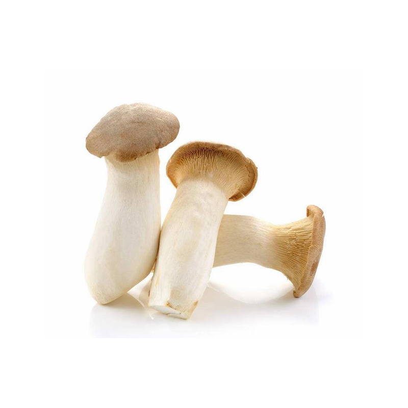 杏鲍菇-份【约240g-290g】