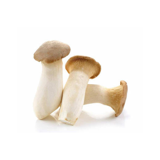 杏鲍菇-份【约240g-290g】 商品图0