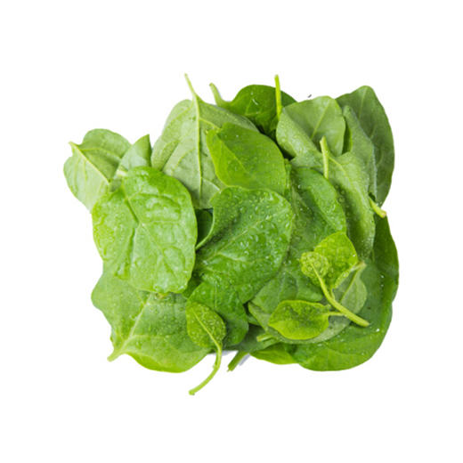 软浆叶-份【约450g-500g】 商品图2