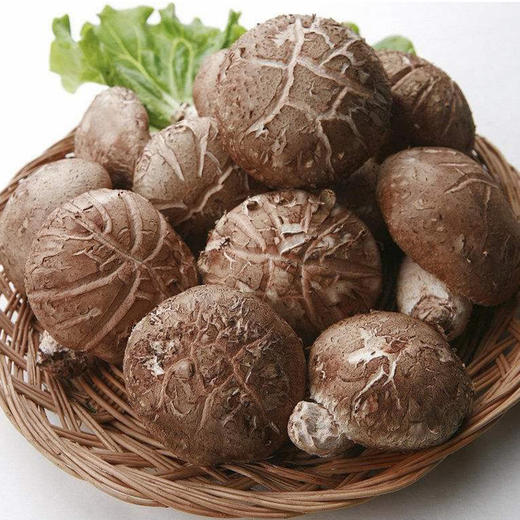 香菇-份【约200g-250g】 商品图2