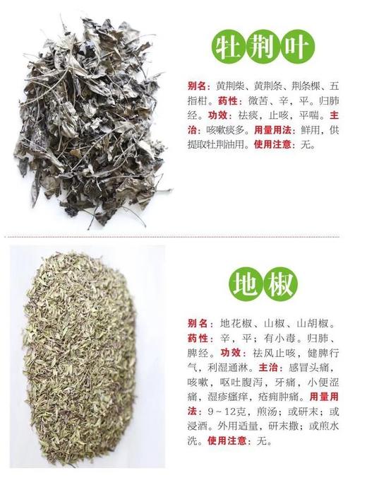 800种中药速查  便携式的本草博物馆 商品图3
