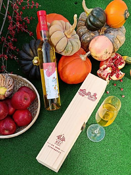 2022年份威代尔冰白葡萄酒 商品图0